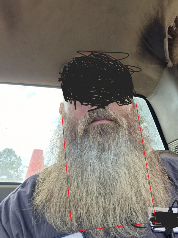 Beard