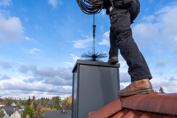 chimney service