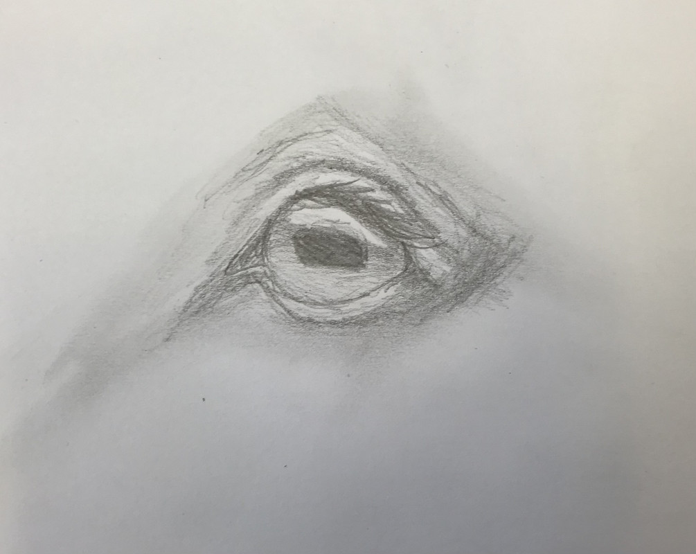 39933015-B4F7-4565-BDEA-DE0D5DB8676A