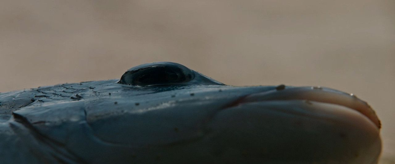 (Thuyết Minh - Vietsub) Sweetheart 2019 ViE 1080p AMZN WEB-DL DDP5.1 H264-NTG.mkv_snapshot_00.11.32.