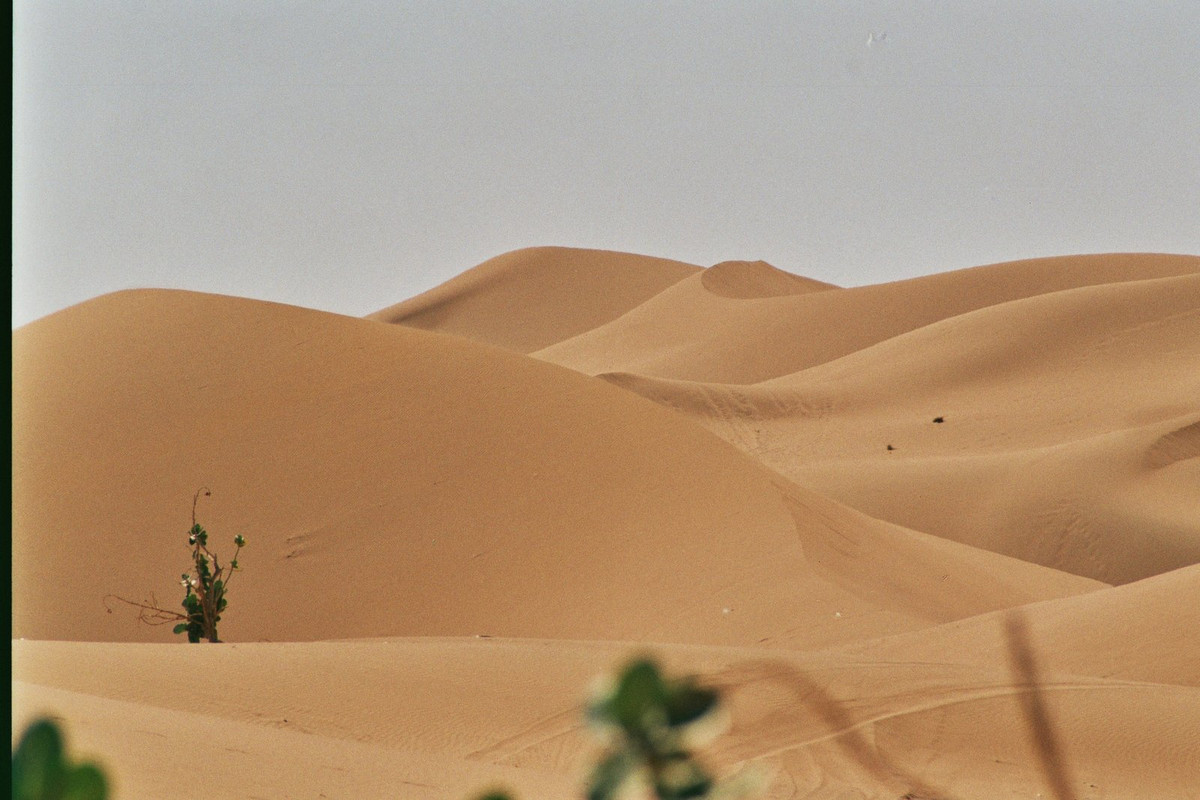 Al Desierto desde Marrakech: Erg Chebbi (Merzouga) y Zagora - Foro Marruecos, Túnez y Norte de África