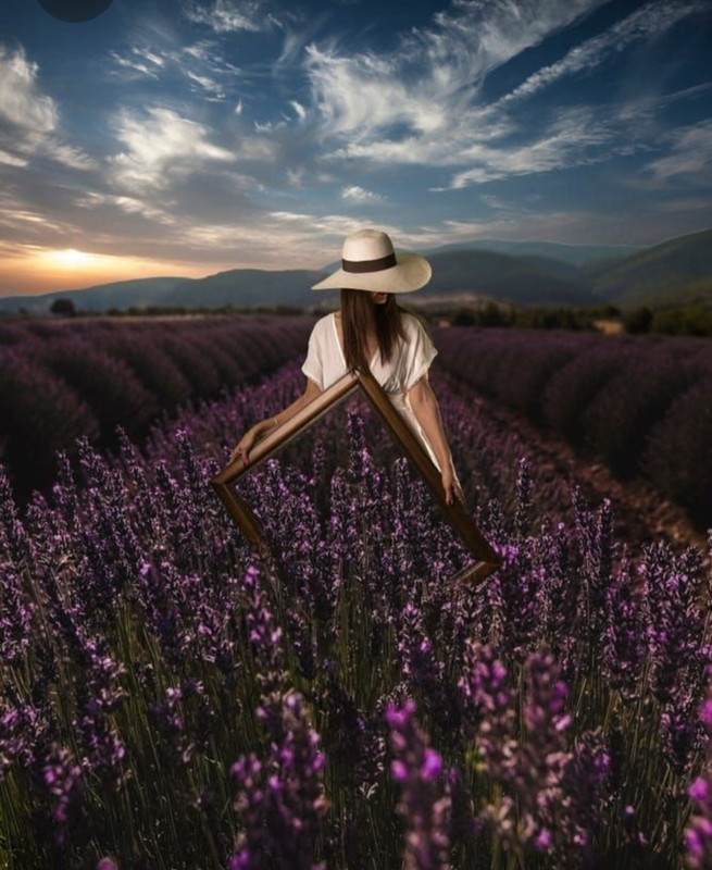 Screenshot_20230611_230652_Pinterest