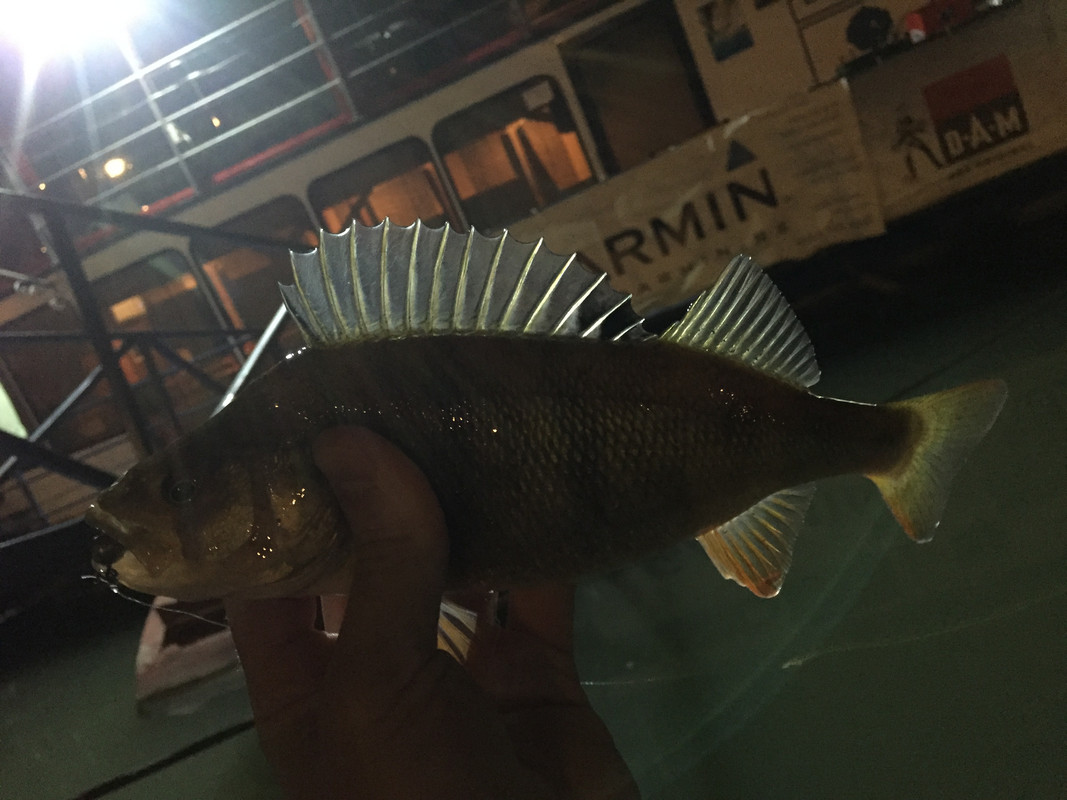 2245AE0D-772D-4401-97CF-4D96C18D4B76