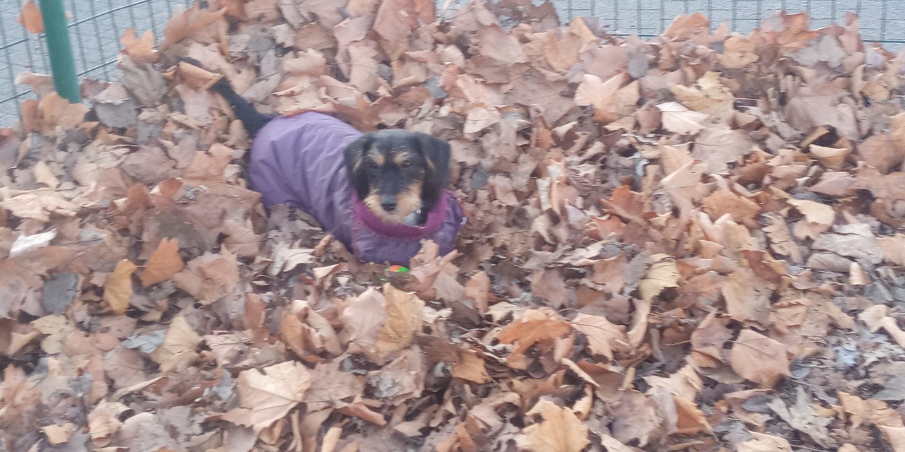 20220115_084736(1)[1]