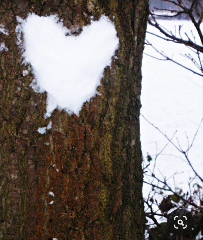 Screenshot_20240213_211818_Pinterest