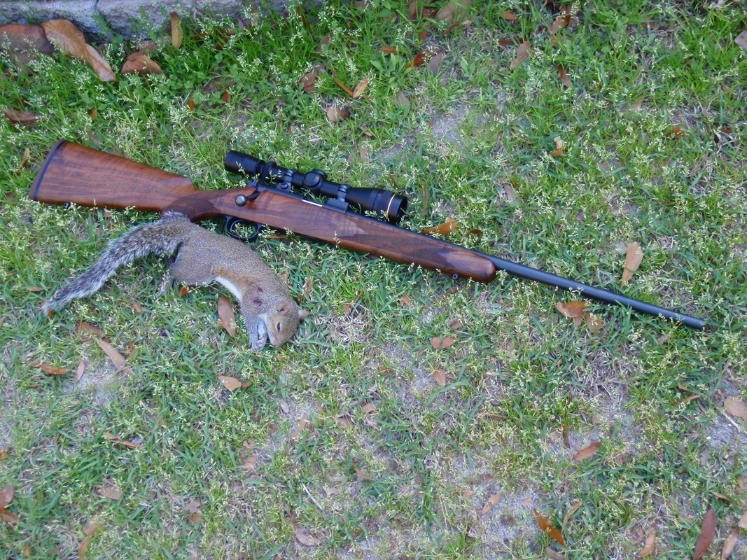 E1556B70-BB24-4F28-9DA3-C702C3586393