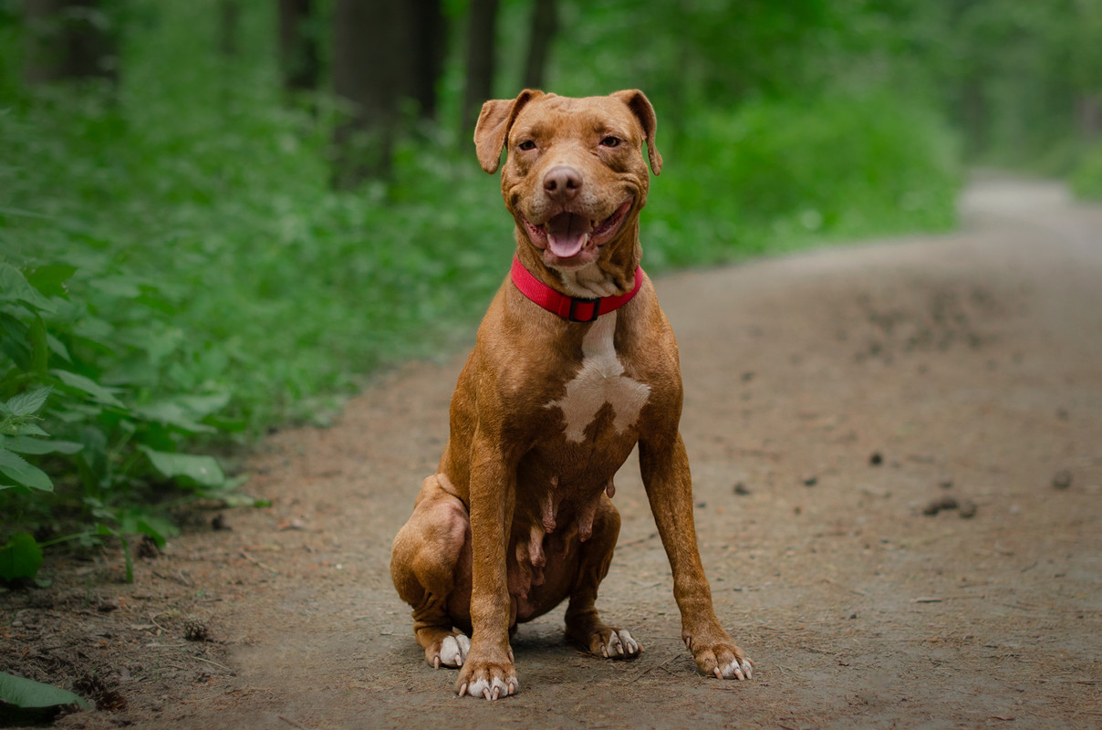 DSC_0061-восстановлено