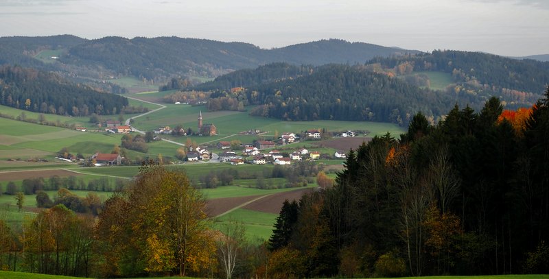 PA290980.jpg