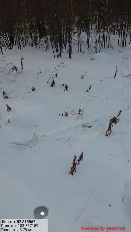 IMG 20260204 131248 597