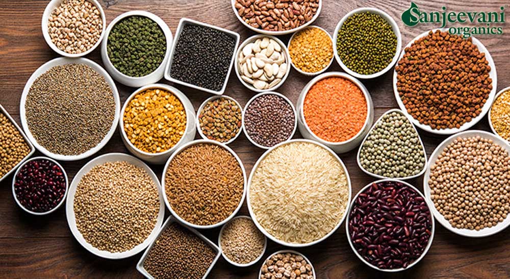 Organic Pulses Suppliers