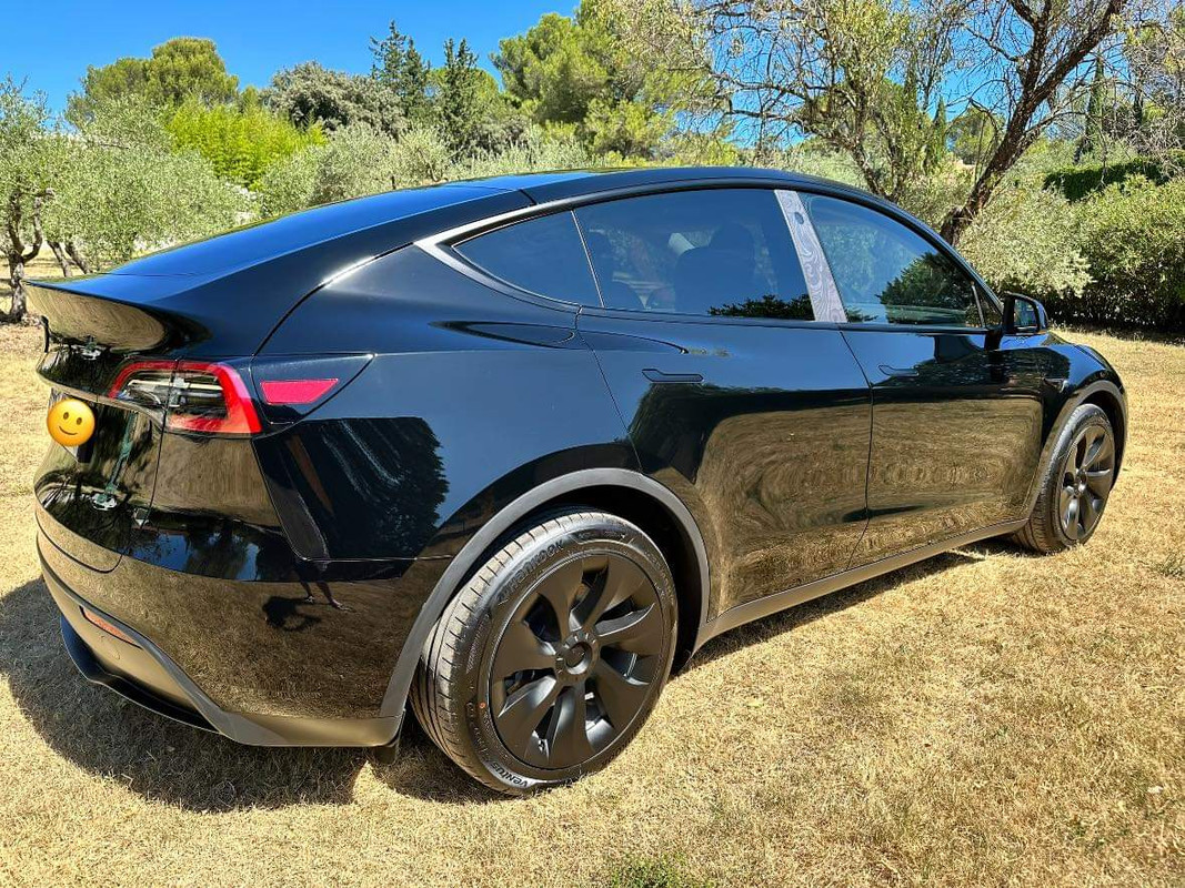 FB_IMG_1692044741879