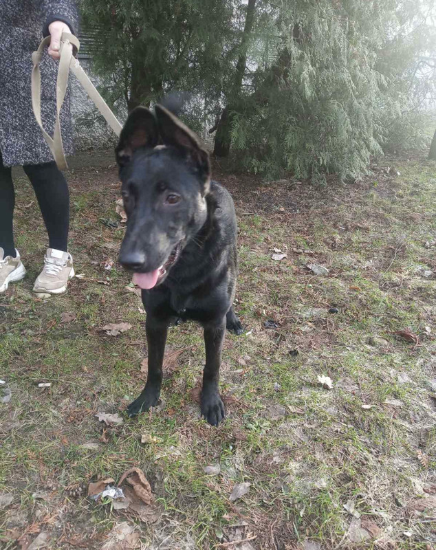 FD818A98-5FBD-4B97-A881-BD8B9FB83057