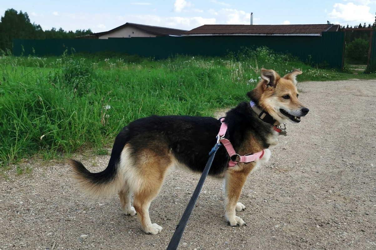 tcNZuWGSxnddWJyHsSGXjmOlyUFTwlrUjYT2zmoXVUnE7tCapREvLbu89wwTnlVivm6HxxSKRB7_EivWn5NJDwIG