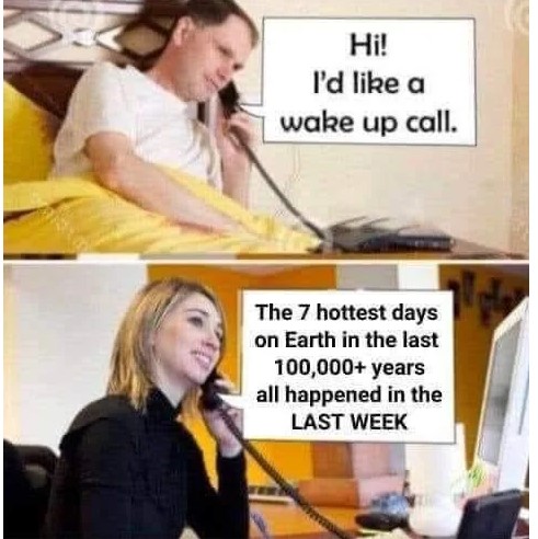 https://i.postimg.cc/fWvzhhkx/1c.jpg