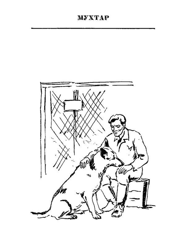 p0006