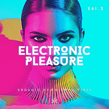 VA - Electronic Pleasure Vol 3 (Organic Downtempo Vibes) (2022)