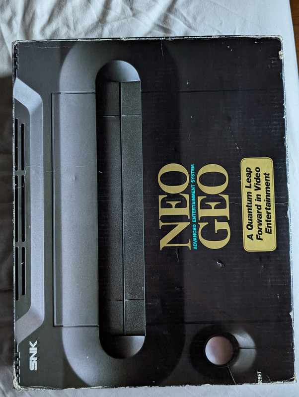 PXL_20230720_195028546.PORTRAIT.ORIGINAL