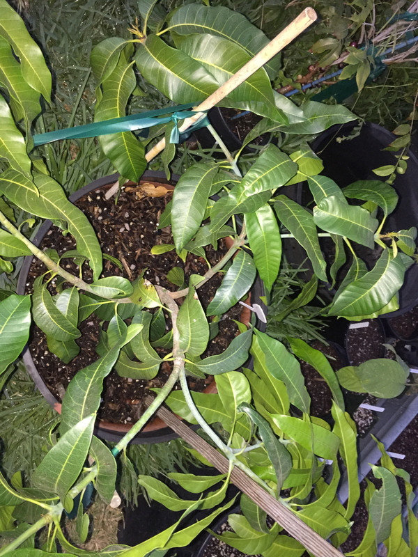 D89931D3-7C18-42CD-B8DA-6D47DD636A28