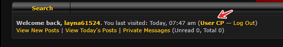 [Image: ice-screenshot-20240516-082256.png]