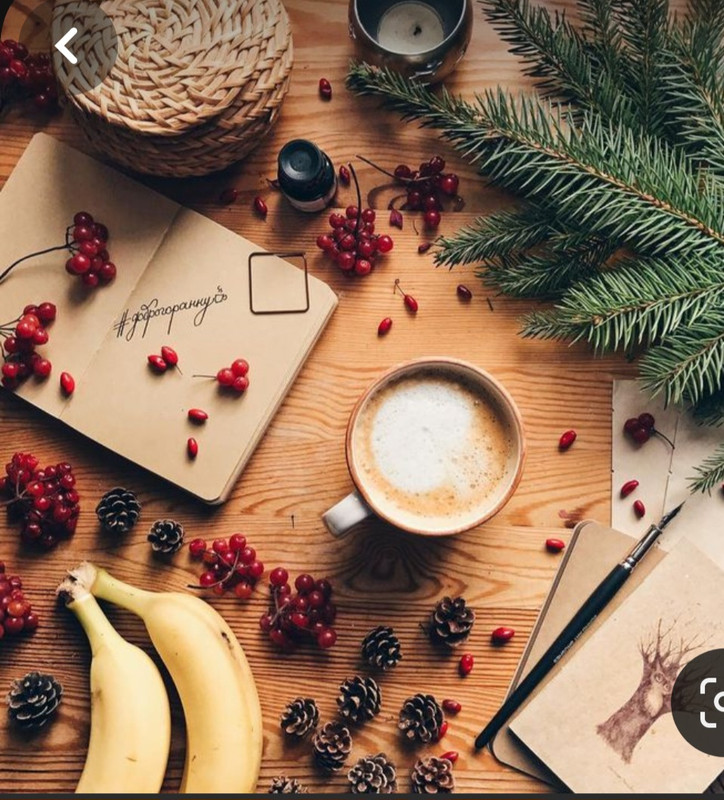 Screenshot_20231120_225621_Pinterest