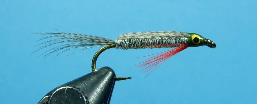 Tied-Down-Minnow-1080.jpg