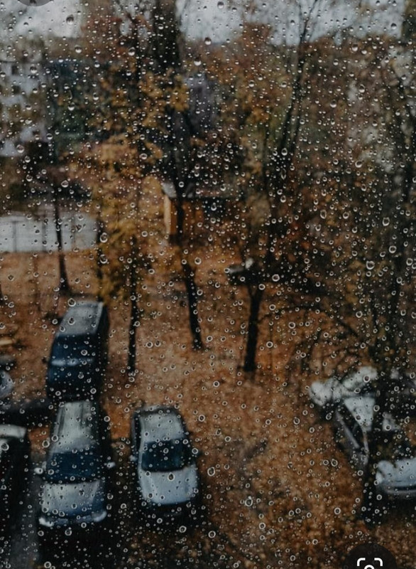 Screenshot_20231217_222912_Pinterest