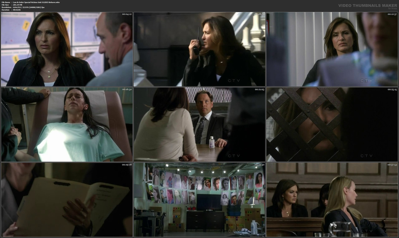 Law & Order Special Victims Unit S12E03 Behave.mkv
