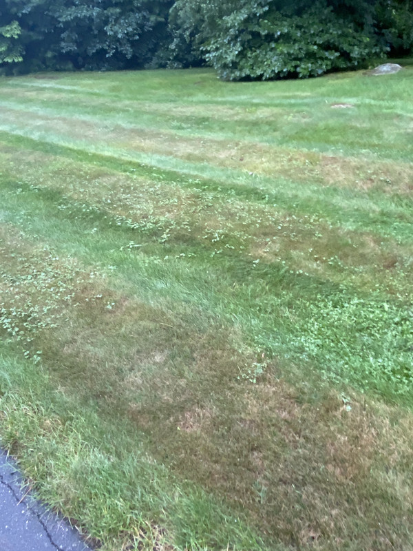 62E16495-2384-4521-A34B-F78F1695FC3E