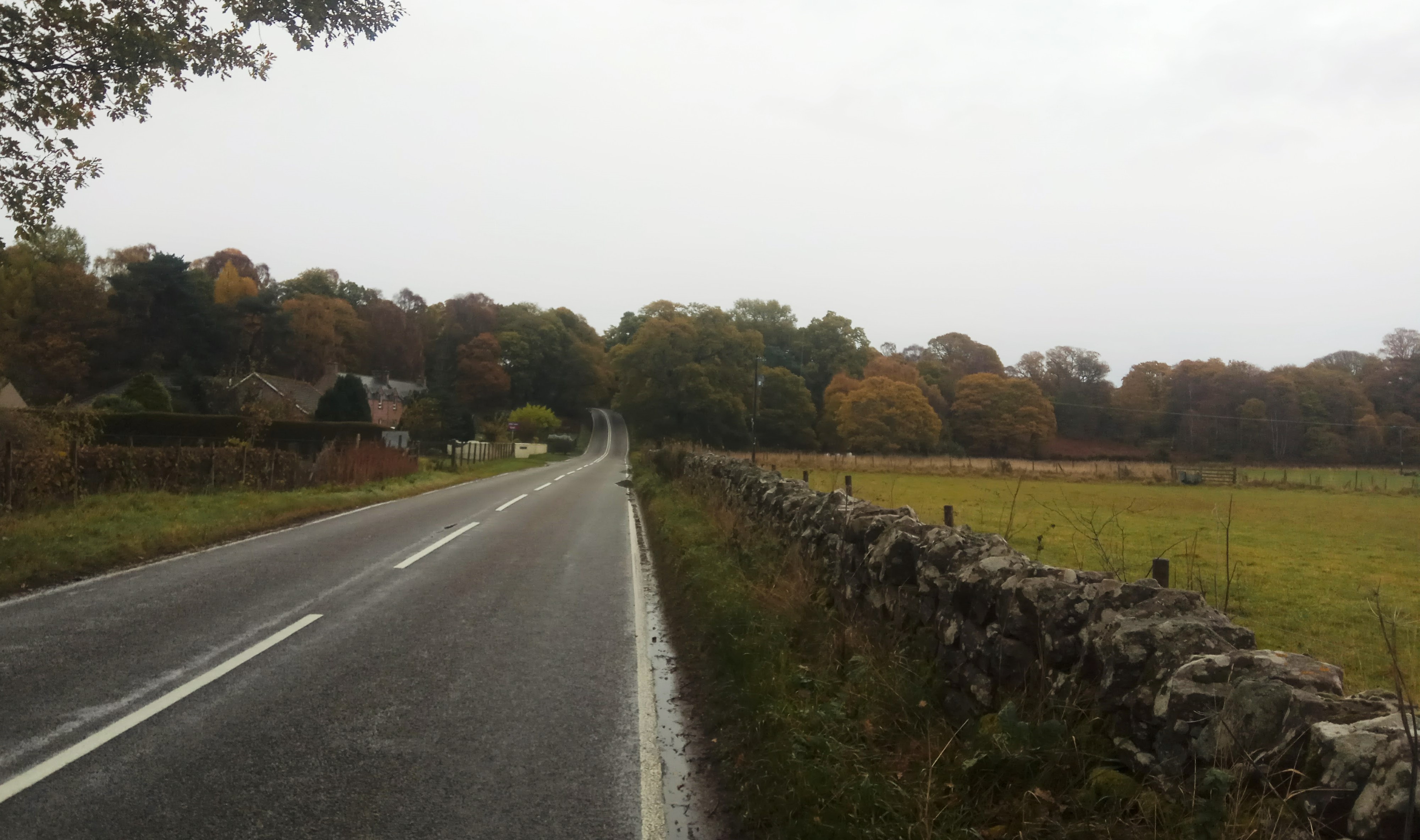 IMG-20171113-135809.jpg