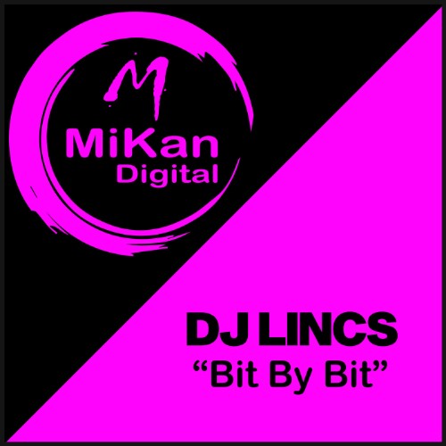 DJ-LINCS-Bit-By-Bit-MKN091-SINGLE-WEB-20