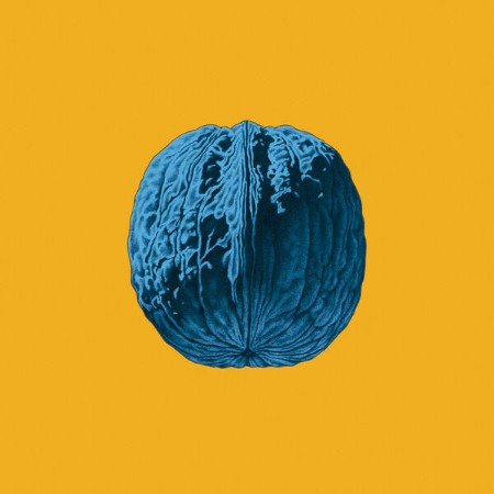 Brunori Sas - L'Albero Delle Noci (2025)