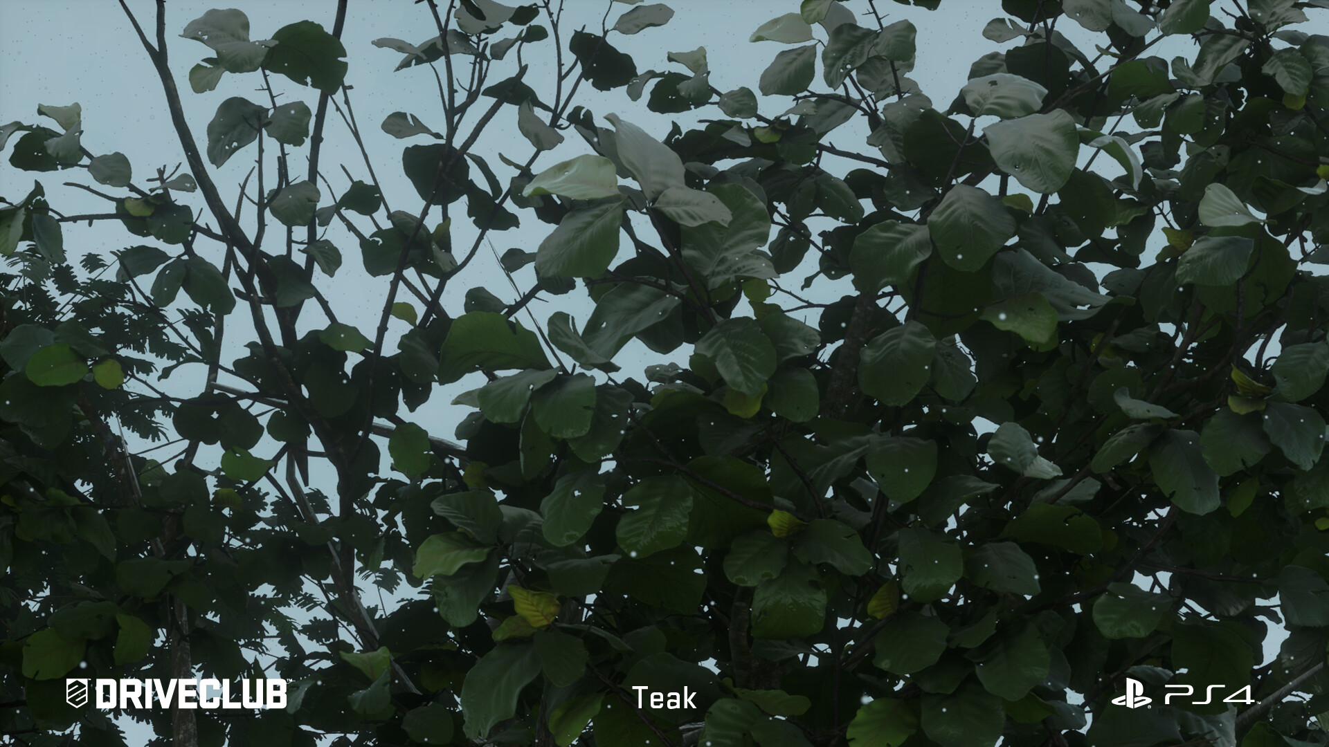 richard-heasman-teak-ingame-2.jpg