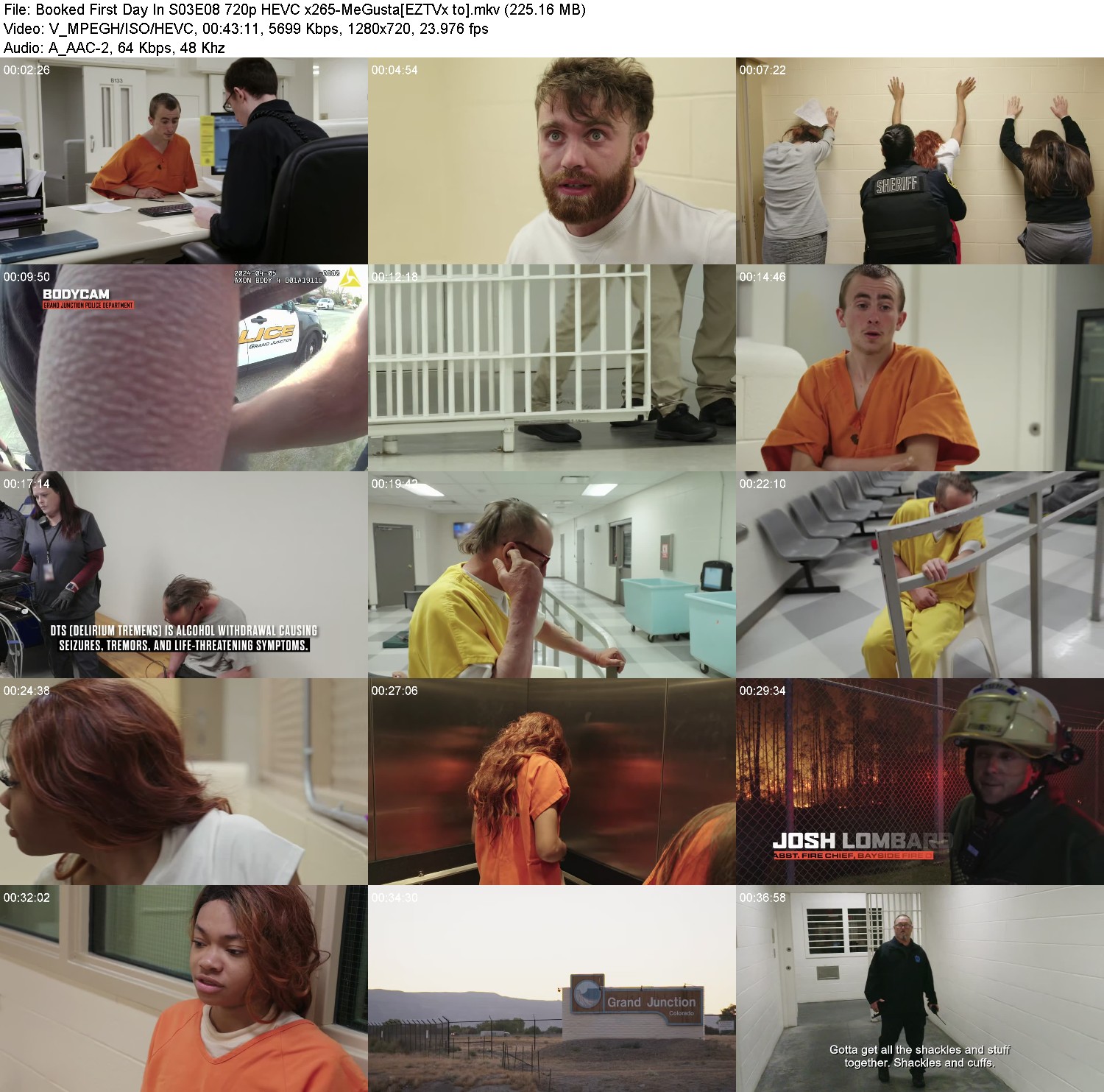 [Image: 0y6q7z3pkgua.jpg]