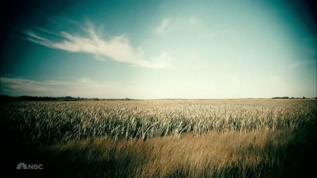 [Image: 0dhe2pqdg35r.jpg]