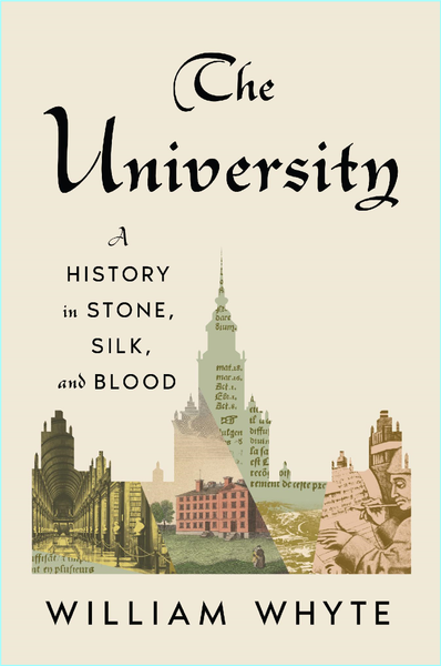 The University A History In Stone Silk And Blood The University A History In Stone Silk And Blood