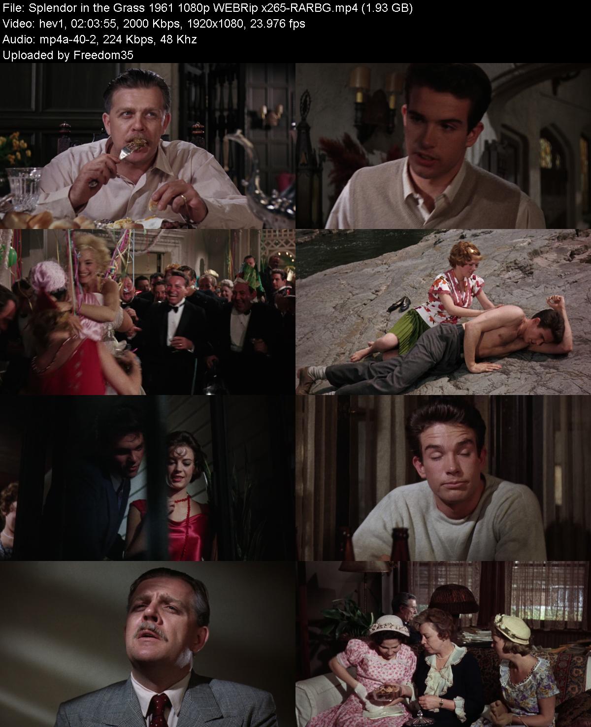 Splendor-in-the-Grass-1961-1080p-WEBRip-
