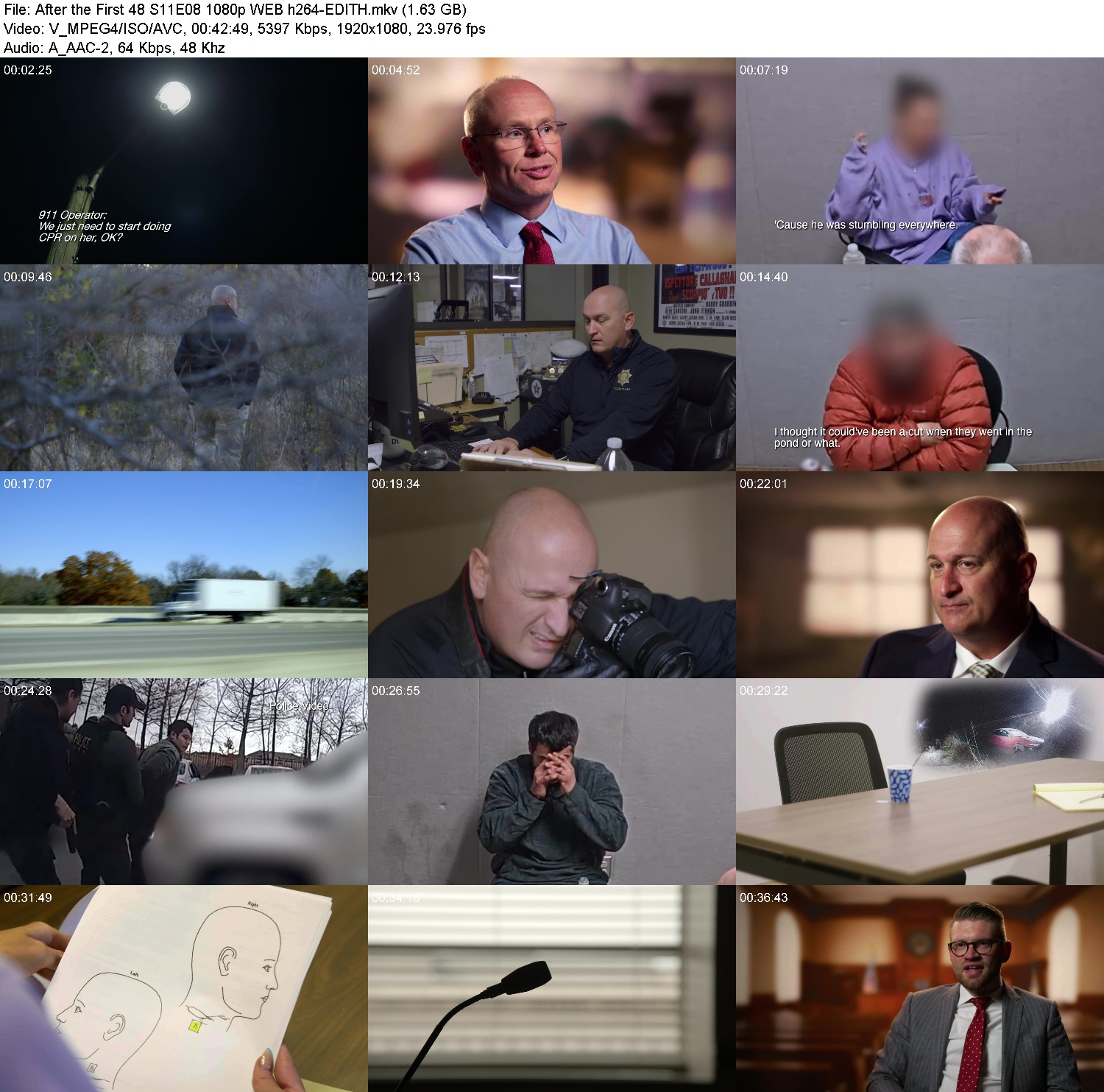 [Image: 1v2dto7rg6ht.jpg]