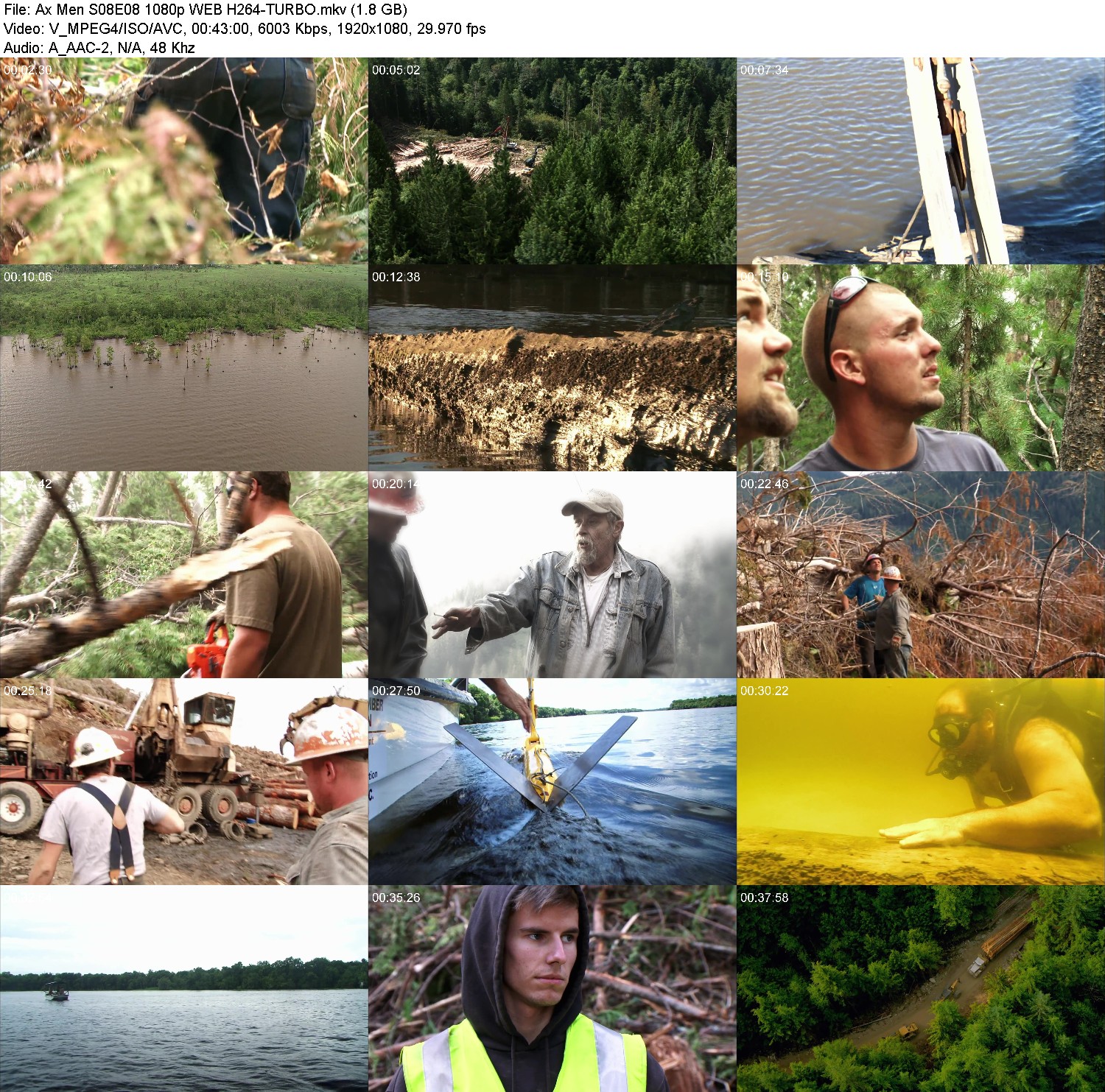 [Image: 0354bxpnxebp.jpg]