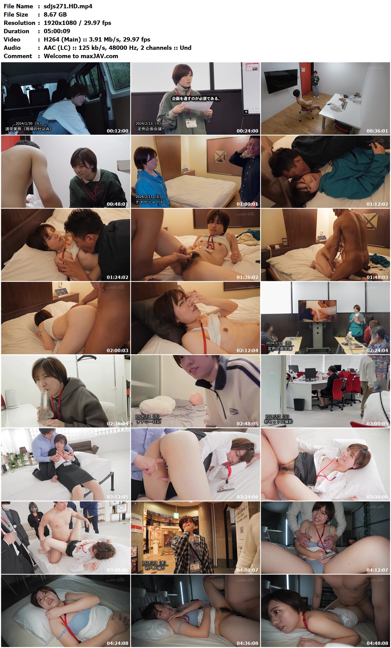 sdjs271