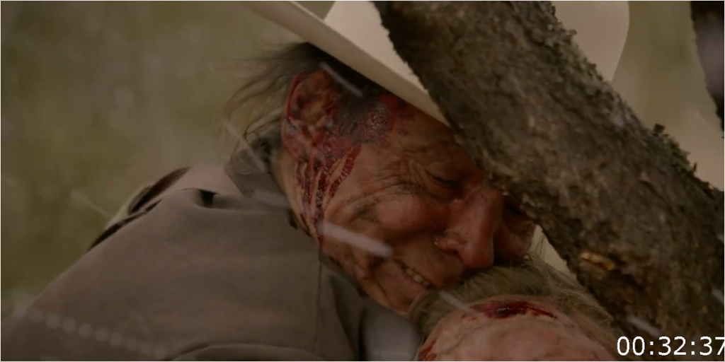 [Image: aronig479l7l.png]