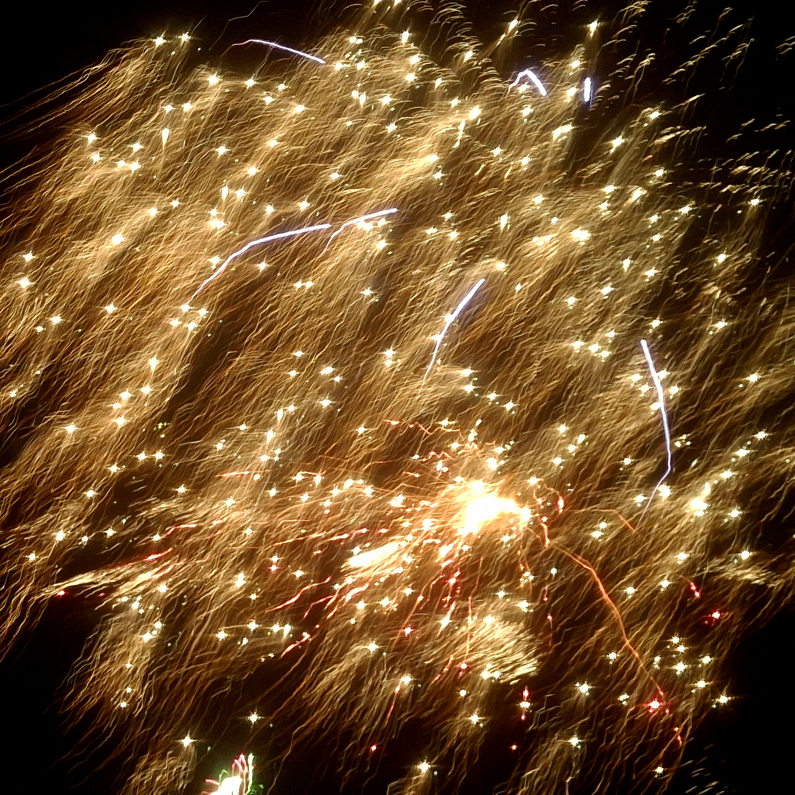 [Image: 20260704-213902.jpg]