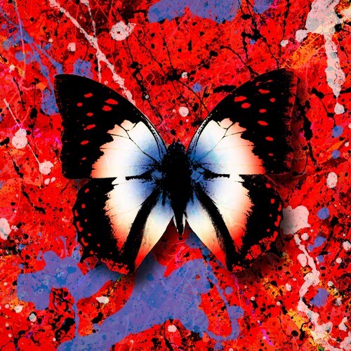 Ed Sheeran - 2step (The Remixes) (2021)