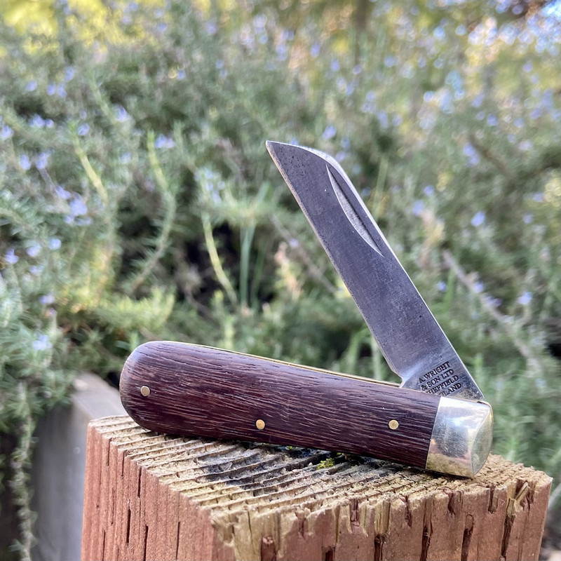 29FFE6EF-19C6-410F-9015-668D07AE4ECA_1_201_a