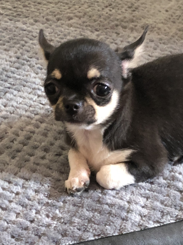 9BC72B44-A8E2-4329-800E-C80422ED777E