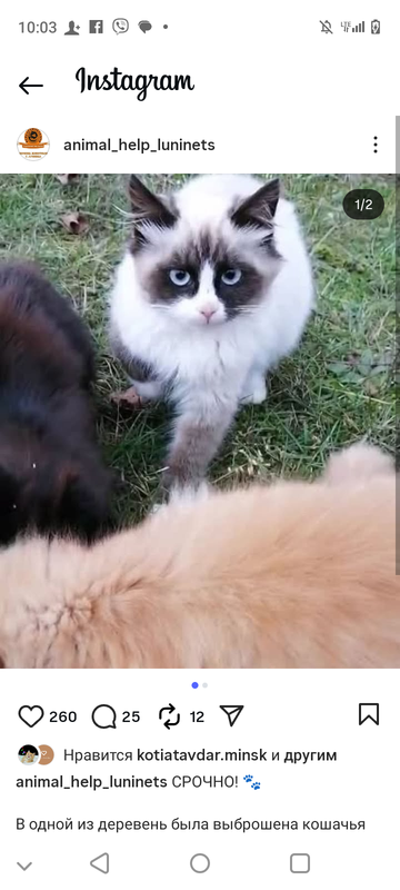 Screenshot 20251115 100308