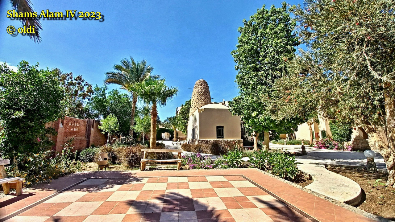 Shams Alam (7)'
