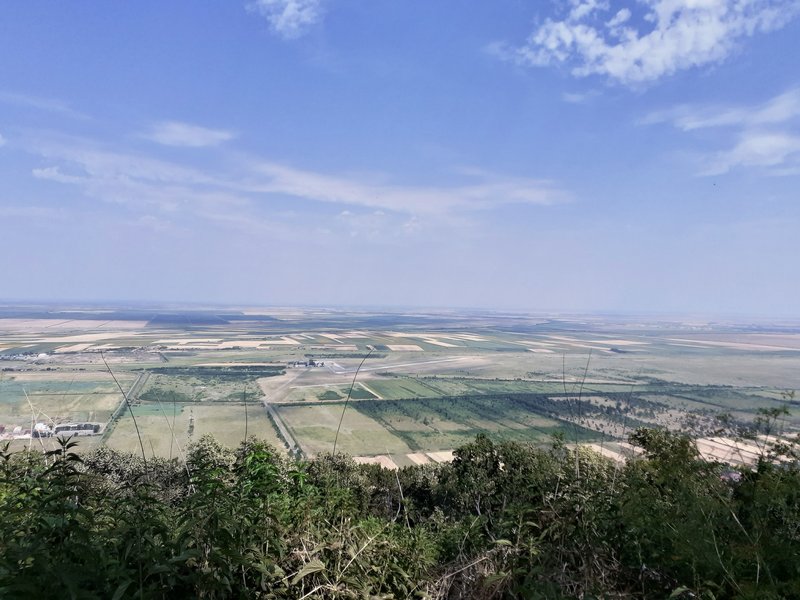 Slika