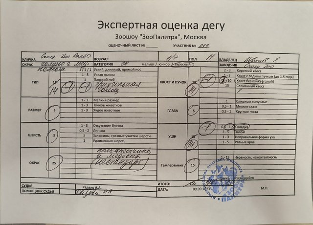 Изображение