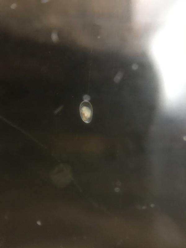 94979F0E-C0A8-40A9-AF7E-A2B6A00D8625