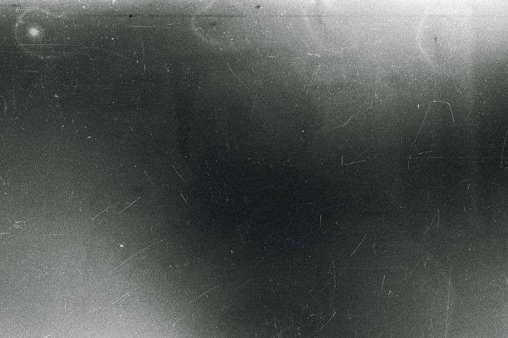 Tumblr l 502353339238262